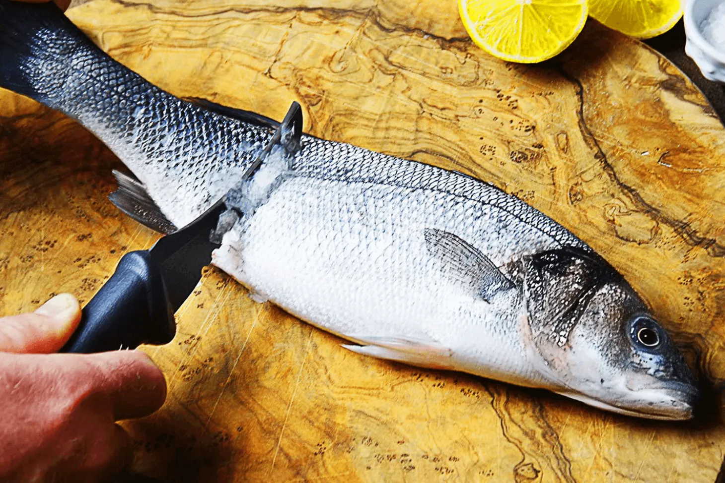 Couteau Marttiini Fish Cleaner 175019 lame 10cm manche caoutchouc + étui
