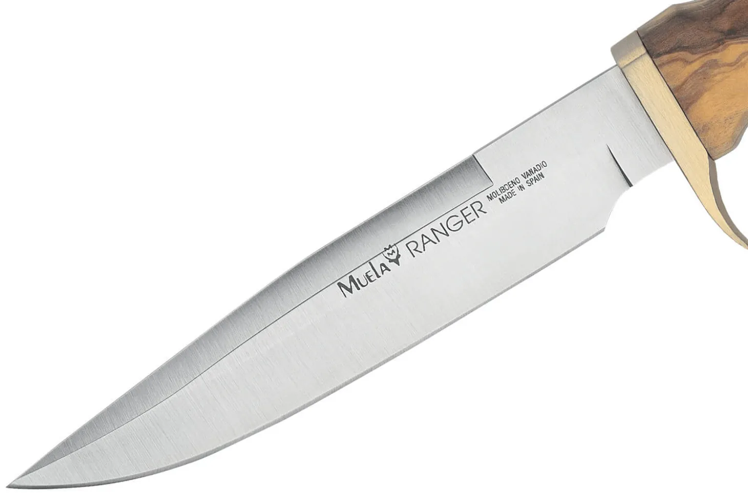 Couteau Muela Ranger 9270 lame 14,5cm inox manche en bois d'olivier + étui en cuir