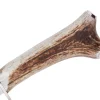 Couteau Muela Ranger 9251 lame 14cm manche en bois de cerf avec départ d'épois + étui en cuir