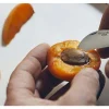 Couteau Opinel n°7 lame 4cm spécial ail, châtaigne et dénoyautage