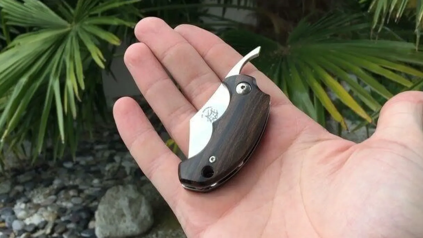 Couteau pliant FOX Bastinelli FX-519ZW BB Drago ziricote 6,5cm + étui