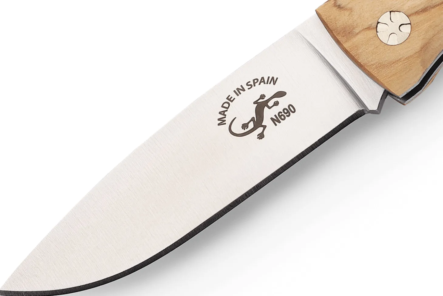 Couteau pliant Salamandra manche olivier 9,5cm