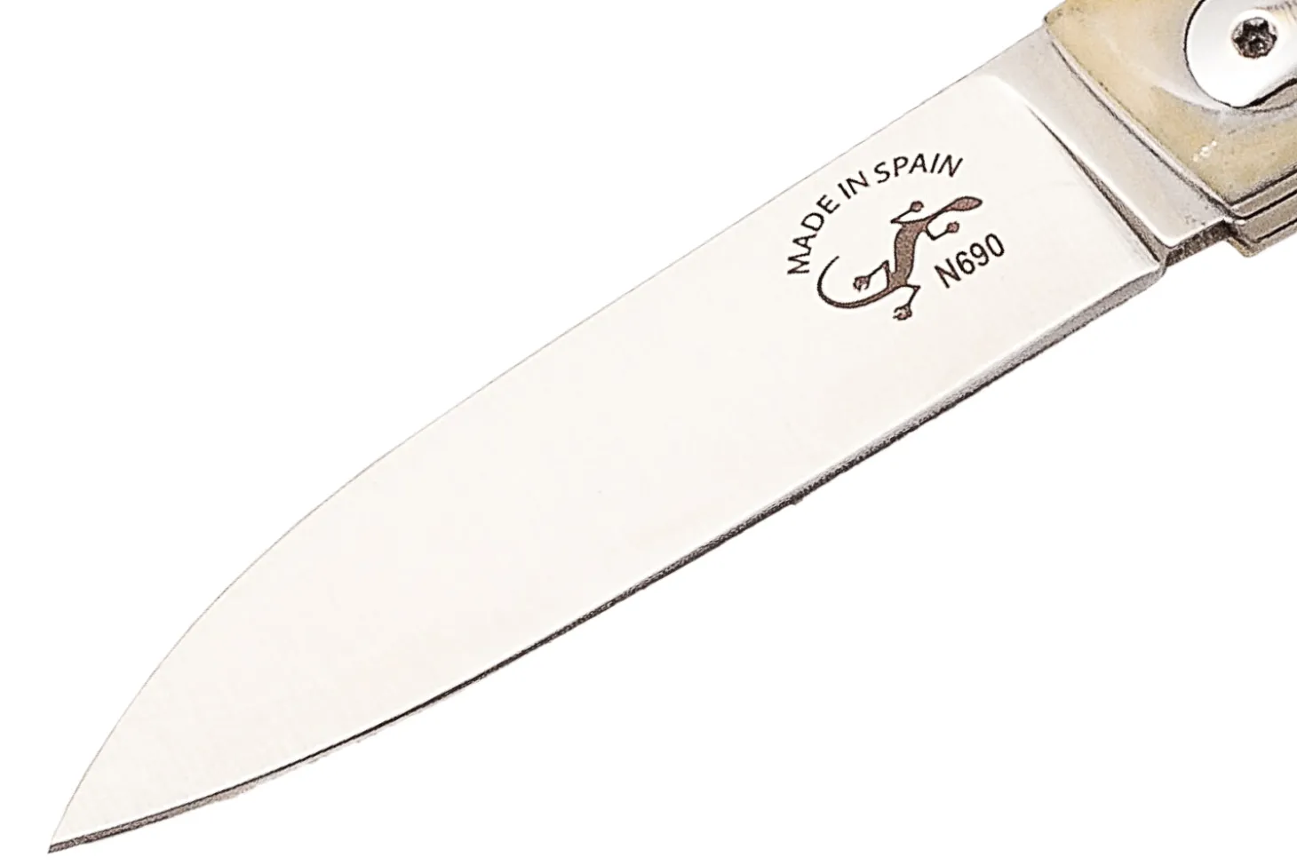 Couteau pliant Salamandra manche os blanc 9cm