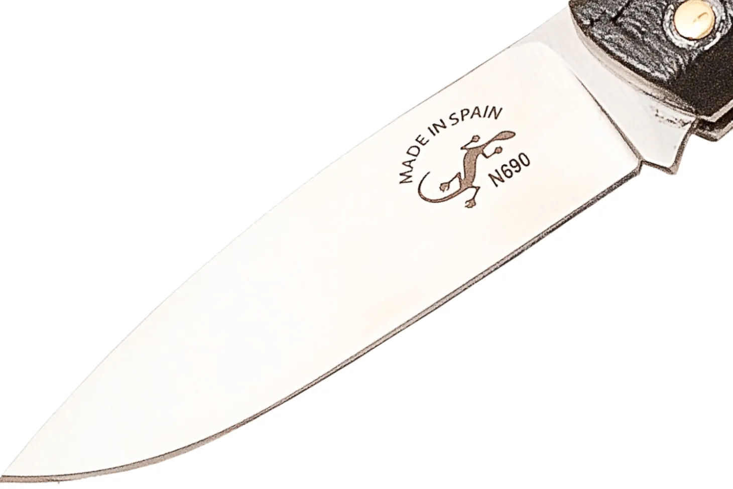 Couteau pliant Salamandra manche corne de buffle 9cm