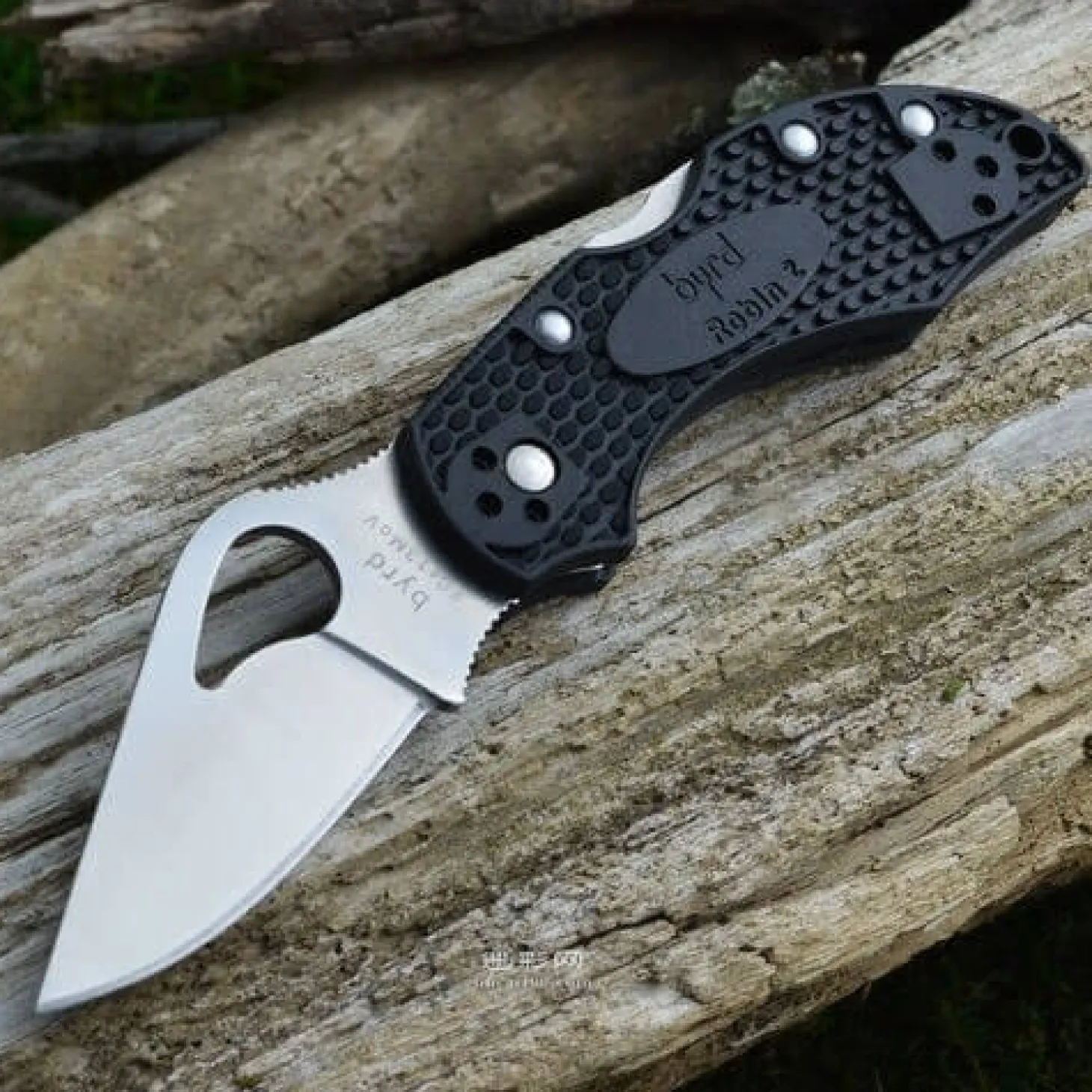 Couteau pliant Spyderco BYRD Robin 2 manche nylon/fibre de verre 8.5cm