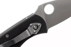 Couteau pliant Spyderco Persistence C136GP manche en G10 noir 10,5cm