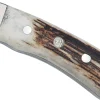 Couteau Puma IP Montero Stag 329712 lame 12cm manche bois de cerf + étui en cuir
