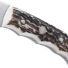 Couteau Puma IP Outdoor Hunter Stag 331811 lame 10,6cm manche bois de cerf + étui cuir