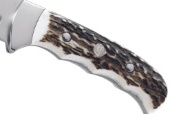 Couteau Puma IP Outdoor Hunter Stag 331811 lame 10,6cm manche bois de cerf + étui cuir