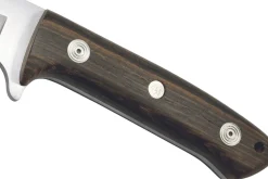 Couteau Puma IP Pollux I Oak 307612 lame 11,7cm manche bois de bocote + étui en cuir