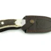 Couteau Puma IP Schwarzwild 338212 lame guthook 12cm manche bois de cerf + étui en cuir