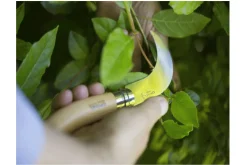 Couteau serpette Opinel n°10 lame inox 10cm manche en hêtre