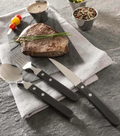 Couteau à steak Jumbo Amefa inox et ABS noir