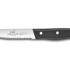 Couteau à steak Sabatier International lame microdentelée 12.5cm