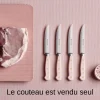 Couteau à steak Wusthof Classic Colour Pink Himalayan Salt forgé lame 12cm