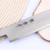 Couteau yanagiba japonais 27cm Sakai Takayuki Nanairo manche en résine laqué vert