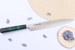 Couteau yanagiba japonais 27cm Sakai Takayuki Nanairo manche en résine laqué vert