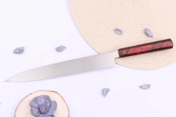 Couteau yanagiba japonais 27cm Sakai Takayuki Nanairo manche en résine laqué rouge