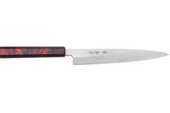 Couteau yanagiba japonais 21cm Sakai Takayuki Nanairo manche en résine laqué rouge