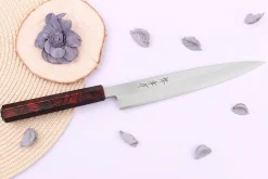 Couteau yanagiba japonais 21cm Sakai Takayuki Nanairo manche en résine laqué rouge