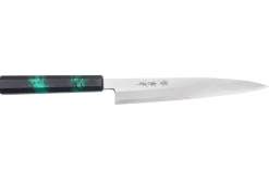 Couteau yanagiba japonais 21cm Sakai Takayuki Nanairo manche en résine laqué vert