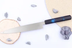 Couteau yanagiba japonais 21cm Sakai Takayuki Nanairo manche en résine laqué bleu