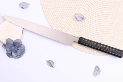 Couteau yanagiba japonais 24cm Sakai Takayuki Nanairo manche en résine ABS laquée