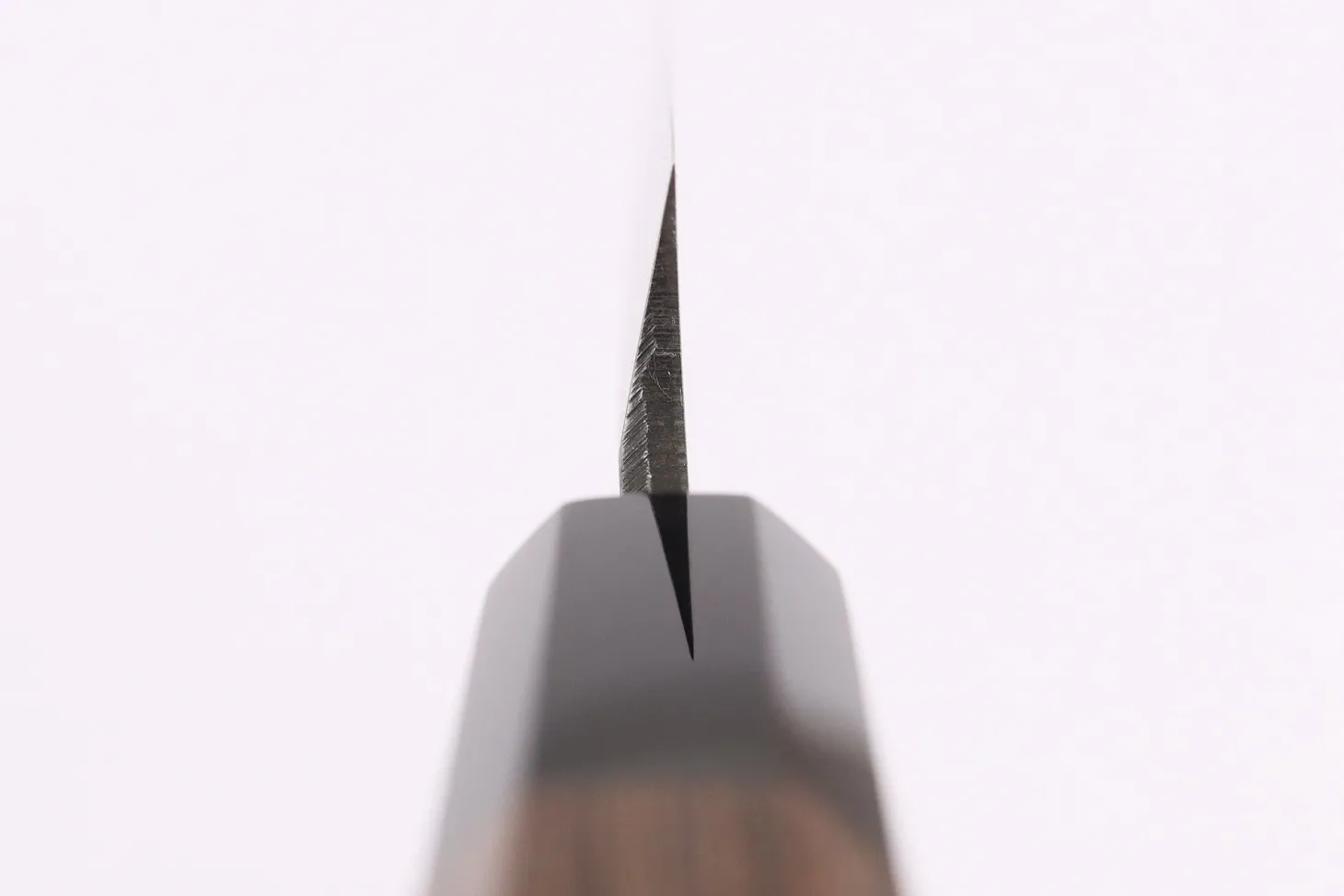 Couteau yanagiba kiritsuke 24cm japonais artisanal Hatsukokoro Shirasagi manche en wengé