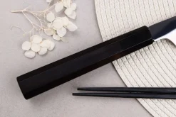 Couteau yanagiba kiritsuke 27cm japonais artisanal Sakai Takayuki Hien