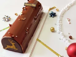Gouttière à bûche Gobel inox + embouts silicone