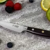 Mallette 5 couteaux de cuisine Fukito Ebène X50
