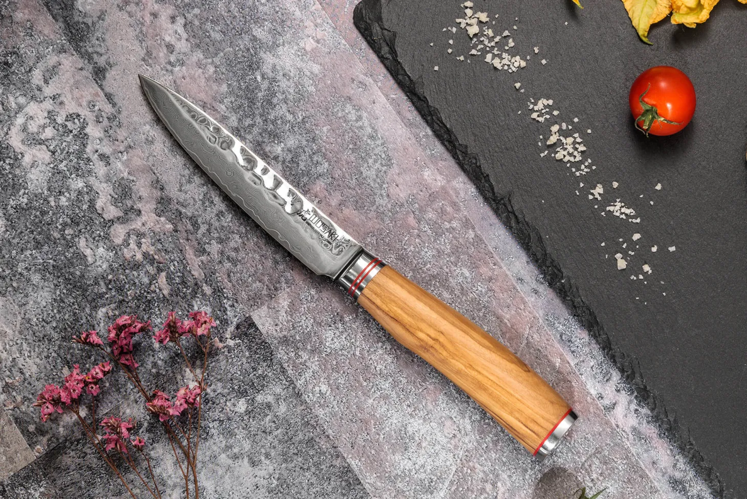 Mallette de 5 couteaux de cuisine Wusaki Damas 10Cr manches en olivier