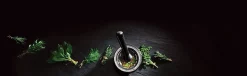 Mortier et pilon Cole & Mason en granit noir élégant - Diamètre 18cm