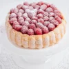 Moule à Bavarois Gobel anti-adhérent - Diamètre 18cm