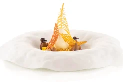 Moule en silicone professionnel Silikomart Naturae 470x270mm 20 plumes