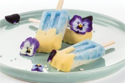 Moule à glaces en silicone Silikomart Mini Vintage - 4 empreintes