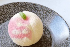 Moule silicone 3D Silikomart Ispirazioni di Frutta