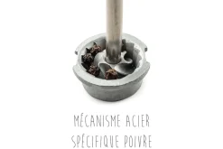 Moulin à épices manuel Peugeot Line Carbone 12cm