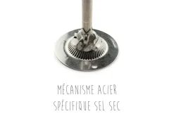 Moulin à épices manuel Peugeot Line Carbone 12cm