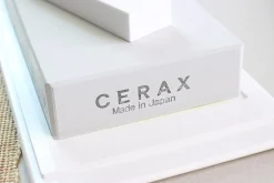 Pierre à aiguiser japonaise Suehiro Cerax céramique grains 320 sur socle