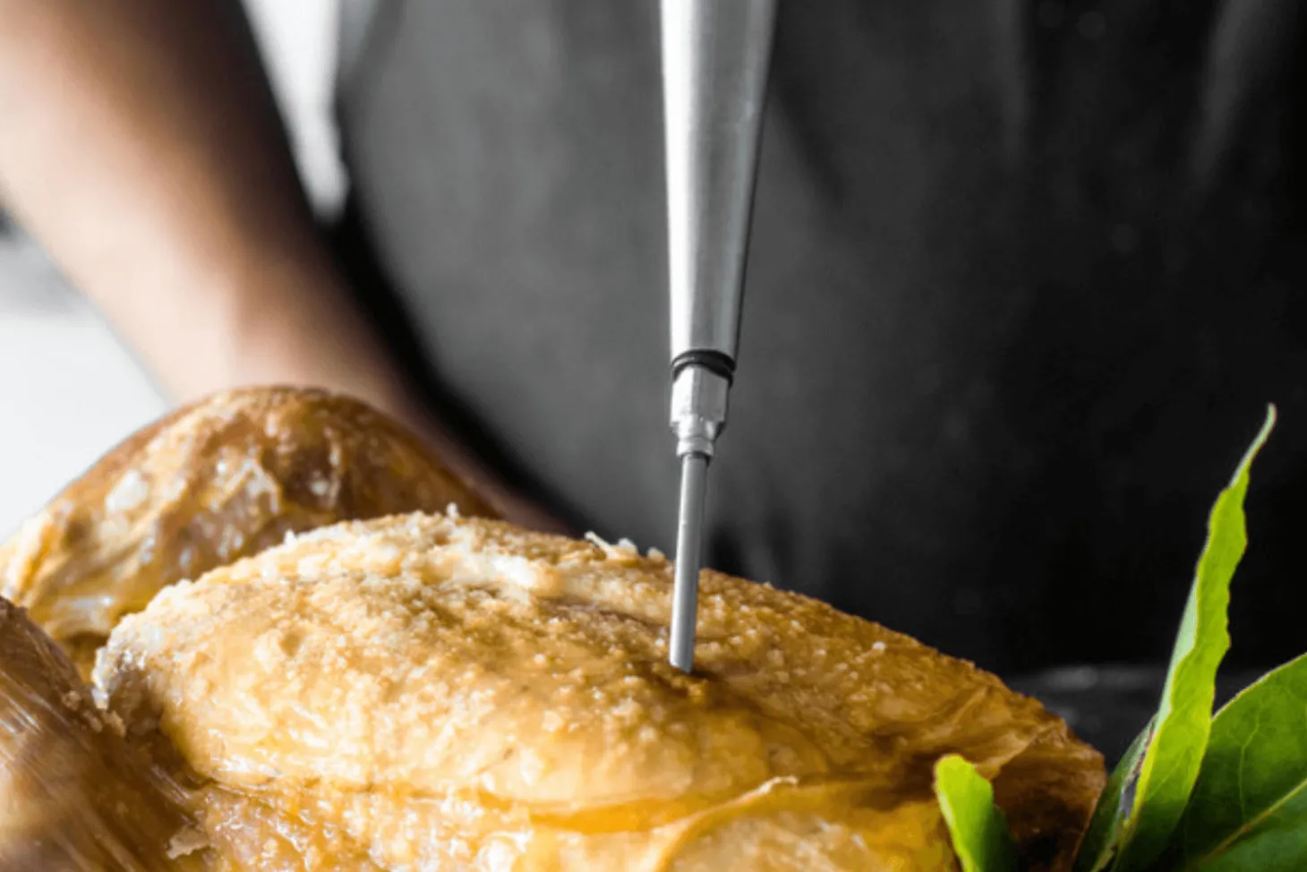 Seringue à marinade professionnelle MasterClass en inox et silicone