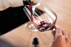 Set 3 bouchons de vin sous vide Zwilling Fresh & Save gris