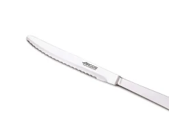 Set de 12 couteaux de table Arcos monobloc 12.5cm