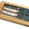 Set de 4 couteaux à steak pro Fischer ZEN extrême dureté