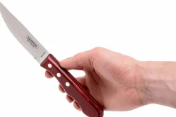 Set de 12 couteaux à steak Tramontina Jumbo lame 13cm manche rouge