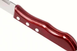 Set de 12 couteaux à steak Tramontina Jumbo lame 13cm manche rouge