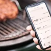 Sonde à viande EGG Genius pour Big Green Egg
