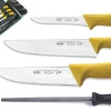 Trousse professionnelle de boucher 3 couteaux + 1 fusil Sanelli Skin